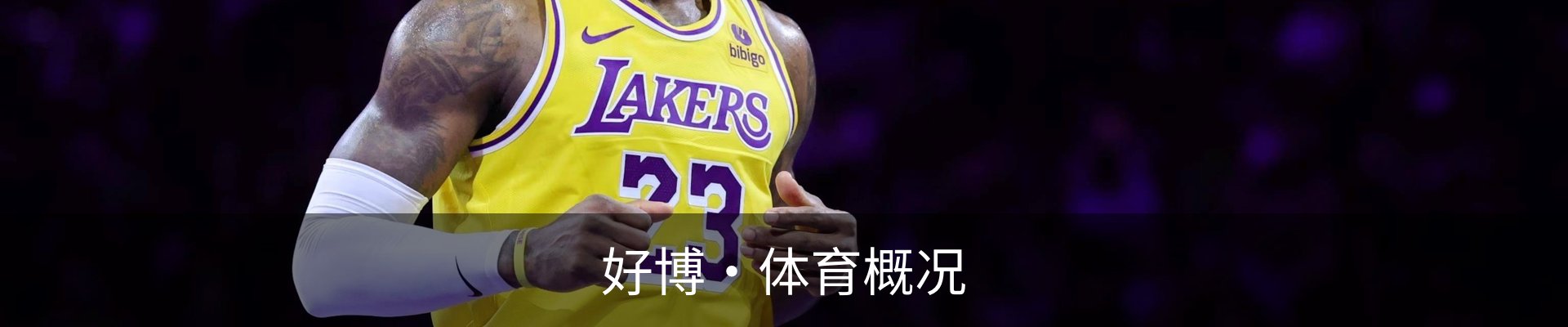 好博·体育概况